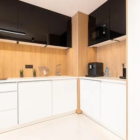Apartman Silesian Vip Centrum Free Parking Zabrze